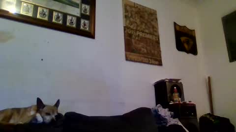 Sexiishaine online show from 13, 2, 2025