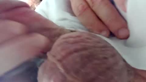 TheCock online show from 24, 12, 2024