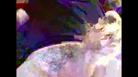 Snapshot of nickyfruit2 chatting on 30, 10, 2025 Nickyfruit online show from 30, 10, 2025