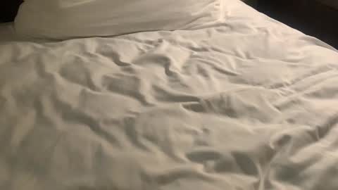 Snapshot of nickzoos3 chatting on 29, 1, 2025 Nick Zoos online show from 29, 1, 2025