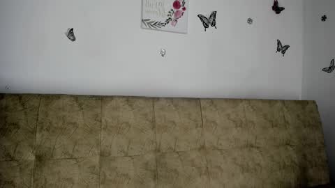 Nicol online show from 7, 12, 2024