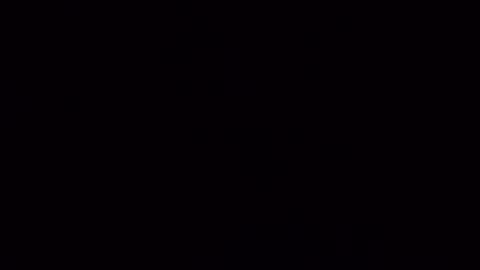 nicoleandbrian online show from 17, 12, 2024