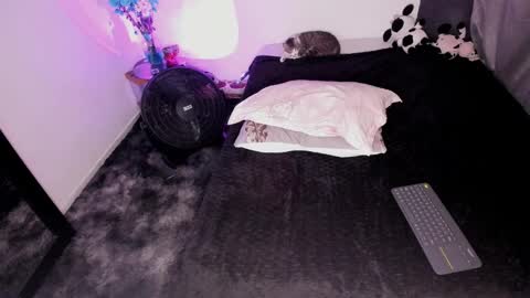 Nicol independent model online show from 3, 2, 2025