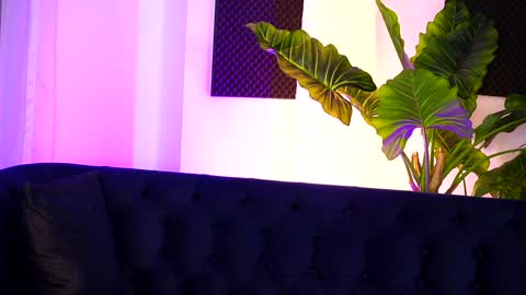 Snapshot of nicolesarahx chatting on 19, 12, 2024 Sarah online show from 19, 12, 2024