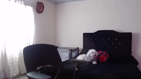 Nicole online show from 20, 11, 2025