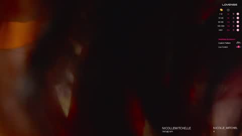 Snapshot of nicolle_mitchelle chatting on 26, 1, 2025 NEW instagram nicollemitchelle online show from 26, 1, 2025