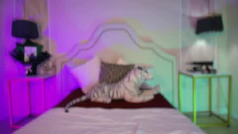 nicole online show from 17, 4, 2026