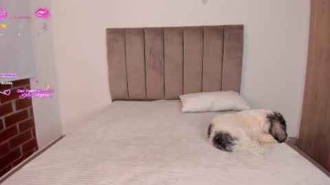 Snapshot of niicoleta2 chatting on 17, 6, 2026 Niicoleta online show from 17, 6, 2026
