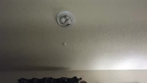 Nikki Mastersgirl1091 online show from 27, 11, 2025