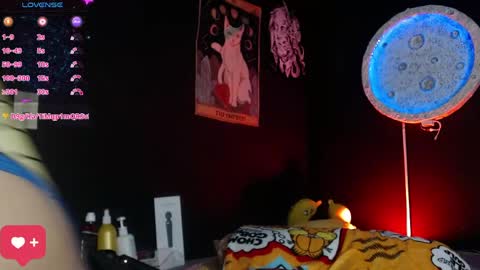 Nikky online show from 6, 6, 2026