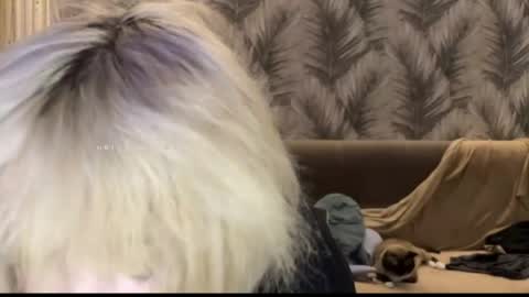 nikoli_naw online show from 11, 6, 2026