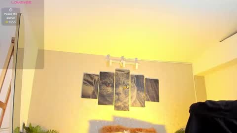 Snapshot of nils_saint chatting on 7, 2, 2026 Nils online show from 7, 2, 2026