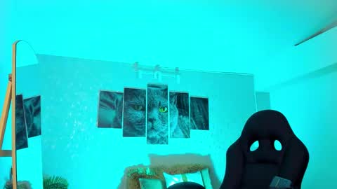 Snapshot of nils_saint chatting on 20, 2, 2026 Nils online show from 20, 2, 2026