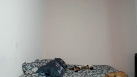  Nina  online show from 22, 11, 2025