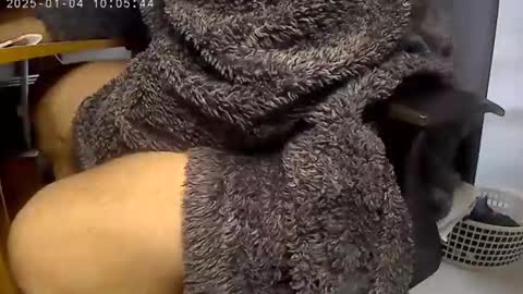 Snapshot of nineinchhard chatting on 4, 1, 2025 nineinchhard online show from 4, 1, 2025