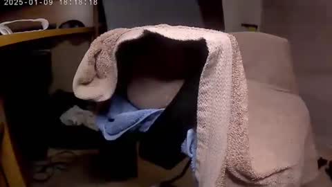 Snapshot of nineinchhard chatting on 9, 1, 2025 nineinchhard online show from 9, 1, 2025