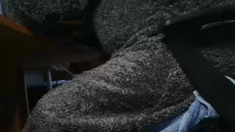 Snapshot of nineinchhard chatting on 23, 1, 2025 nineinchhard online show from 23, 1, 2025