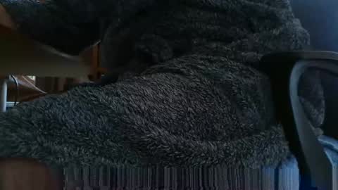 Snapshot of nineinchhard chatting on 4, 3, 2025 nineinchhard online show from 4, 3, 2025