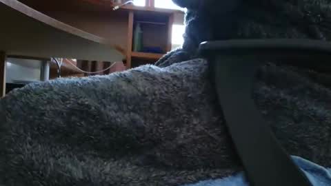 Snapshot of nineinchhard chatting on 6, 3, 2025 nineinchhard online show from 6, 3, 2025