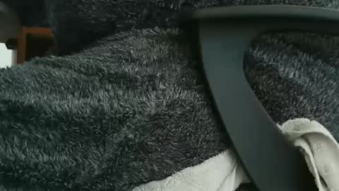 Snapshot of nineinchhard chatting on 23, 9, 2025 nineinchhard online show from 23, 9, 2025