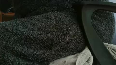 Snapshot of nineinchhard chatting on 12, 10, 2025 nineinchhard online show from 12, 10, 2025