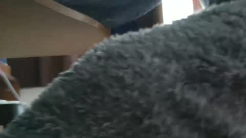 Snapshot of nineinchhard chatting on 20, 10, 2025 nineinchhard online show from 20, 10, 2025