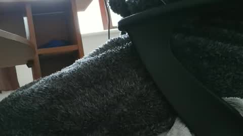 Snapshot of nineinchhard chatting on 30, 10, 2025 nineinchhard online show from 30, 10, 2025