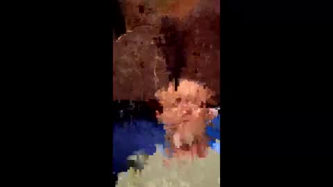 ninjoe69 online show from 28, 4, 2026