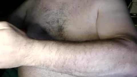 Nip Fun Bear online show from 25, 9, 2025