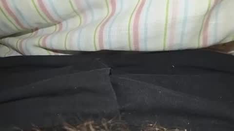 niterider22 online show from 14, 3, 2026