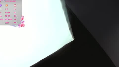 Nixie online show from 19, 7, 2026