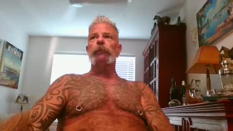 Don online show from 1, 11, 2025