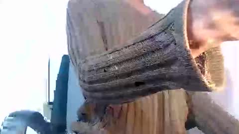 Snapshot of noah_miller7 chatting on 27, 1, 2025 Noah Millers online show from 27, 1, 2025