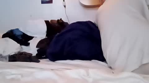 Noah Wesley online show from 18, 1, 2025