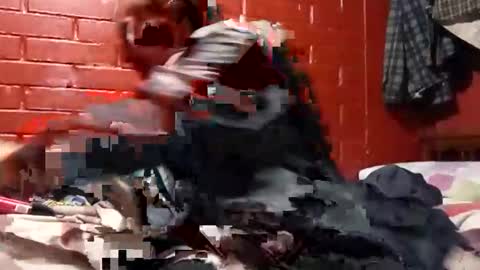 nocturnus1980 online show from 10, 11, 2025