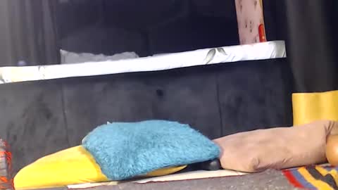 Snapshot of noircandy chatting on 16, 12, 2024 Noir Thats My Name Call Me Bablicious online show from 16, 12, 2024