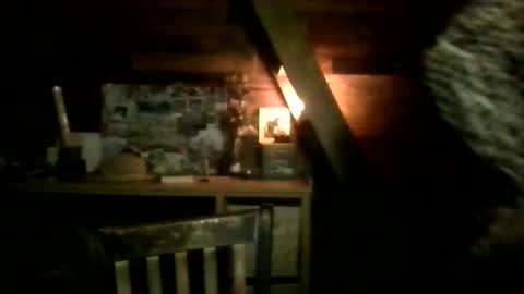 Nola online show from 13, 3, 2026