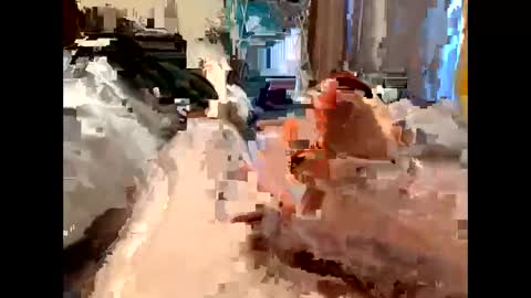 Snapshot of nolplus chatting on 5, 3, 2025 nolplus online show from 5, 3, 2025