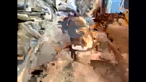 Snapshot of nolplus chatting on 7, 3, 2025 nolplus online show from 7, 3, 2025