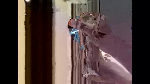 Snapshot of nolplus chatting on 22, 9, 2025 nolplus online show from 22, 9, 2025