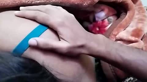 sim  nib online show from 26, 12, 2024