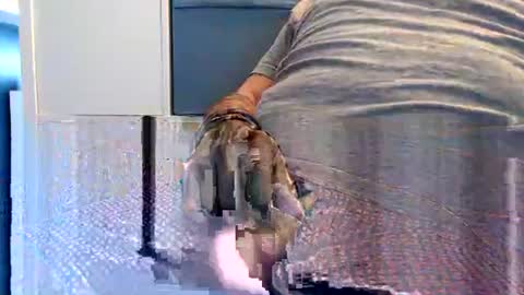 Snapshot of northern376854 chatting on 23, 9, 2025 northerndaddy online show from 23, 9, 2025