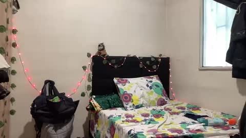 Snapshot of nova21127 chatting on 19, 10, 2025 NOVA online show from 19, 10, 2025