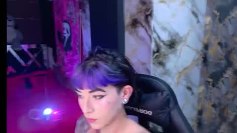 Nova kitty tx online show from 5, 6, 2026