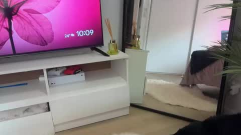 Snapshot of novamills chatting on 3, 2, 2026 Nova Mills online show from 3, 2, 2026