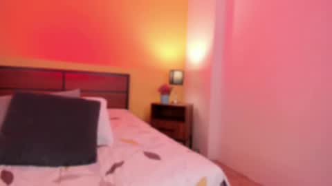 Nova online show from 9, 1, 2025