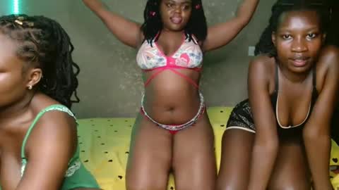 Novi online show from 8, 11, 2025