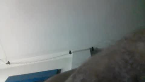 nqbzawcgchyk online show from 13, 3, 2026