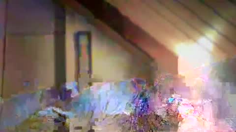 nurod online show from 29, 12, 2024