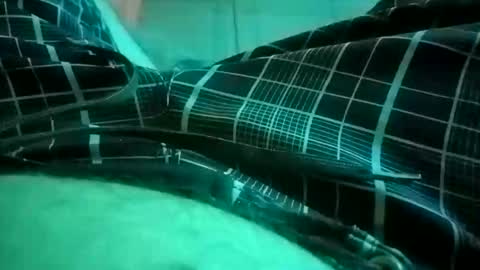 NuttyProfesir online show from 4, 4, 2026